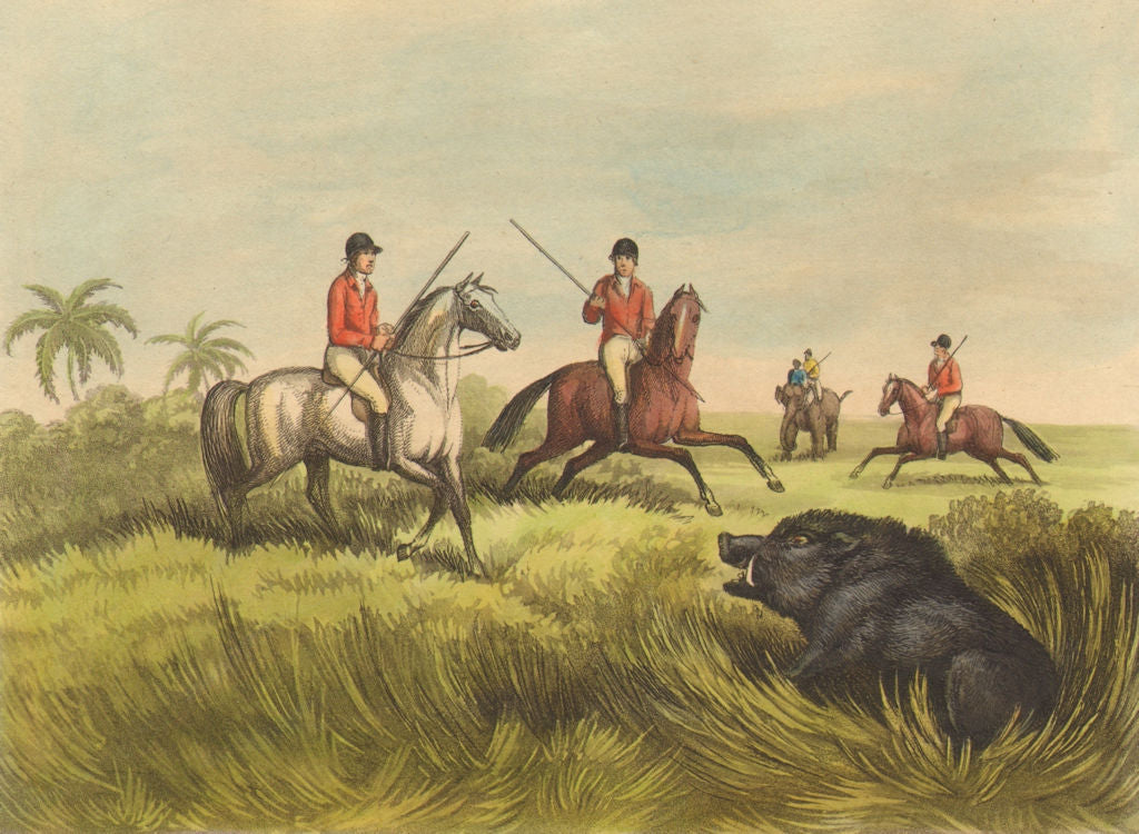 INDIA. Hog- hunting on horses- a boar at bay (Field Sports- Orme)  1814 print